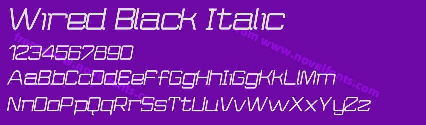 Wired Black ItalicPreview