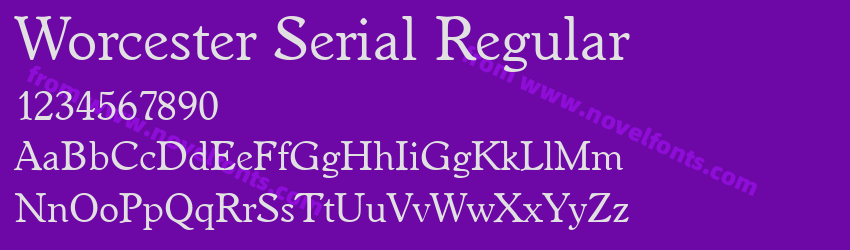 Worcester Serial RegularPreview