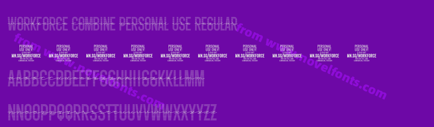 Workforce Combine PERSONAL USE RegularPreview