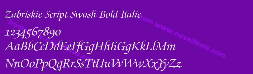 Zabriskie Script Swash Bold ItalicPreview