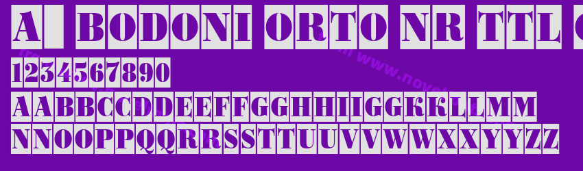 a_ Bodoni Orto Nr Ttl CmPreview