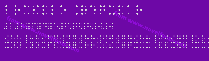 braille RegularPreview