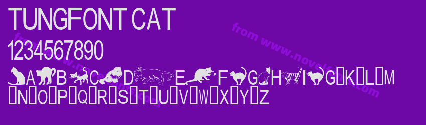 tungfont catPreview