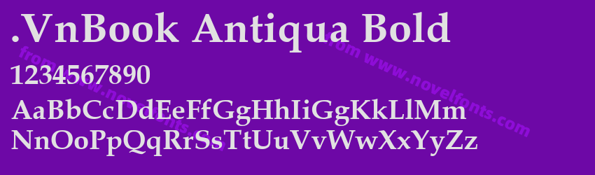 .VnBook Antiqua BoldPreview