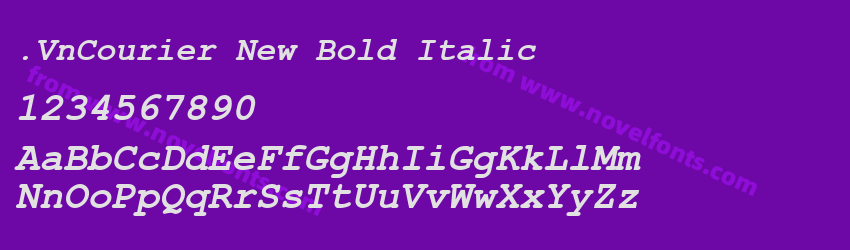 .VnCourier New Bold ItalicPreview