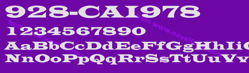 928-CAI978Preview