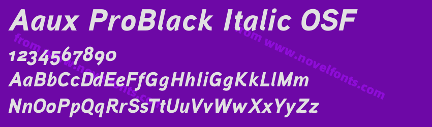 Aaux ProBlack Italic OSFPreview