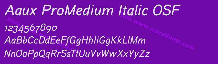 Aaux ProMedium Italic OSFPreview