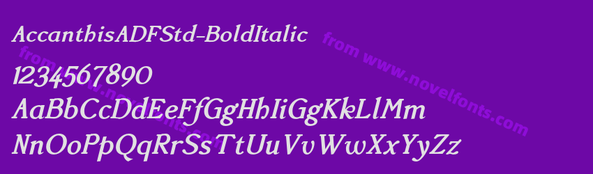 AccanthisADFStd-BoldItalicPreview