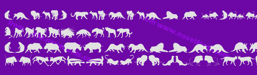 Afrika Wildlife B Mammals2Preview