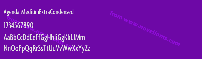 Agenda-MediumExtraCondensedPreview