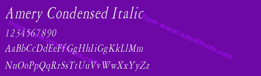 Amery Condensed ItalicPreview