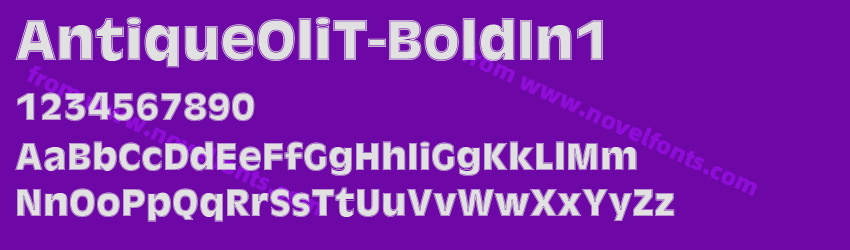 AntiqueOliT-BoldIn1Preview