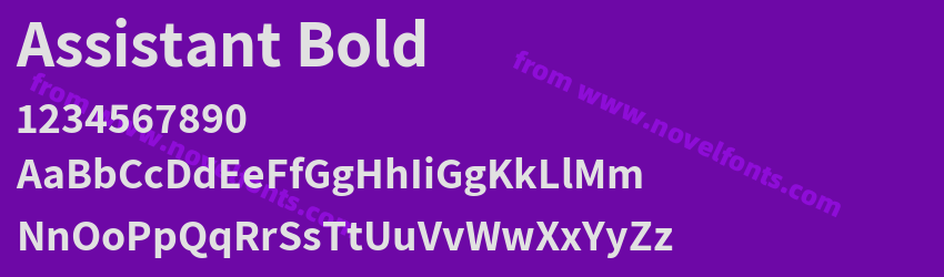 Assistant BoldPreview