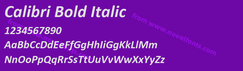 Calibri Bold ItalicPreview