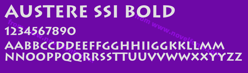 Austere SSi BoldPreview