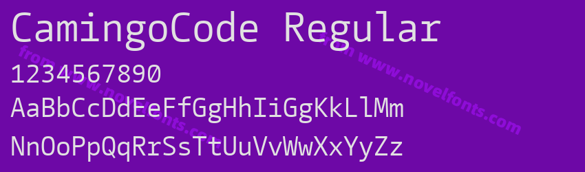 CamingoCode RegularPreview