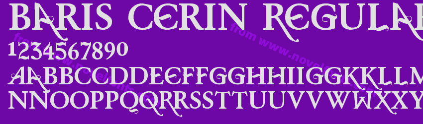 Baris Cerin RegularPreview