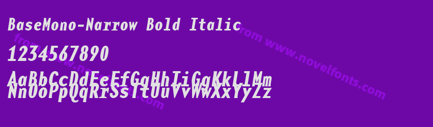 BaseMono-Narrow Bold ItalicPreview