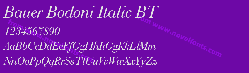 Bauer Bodoni Italic BTPreview