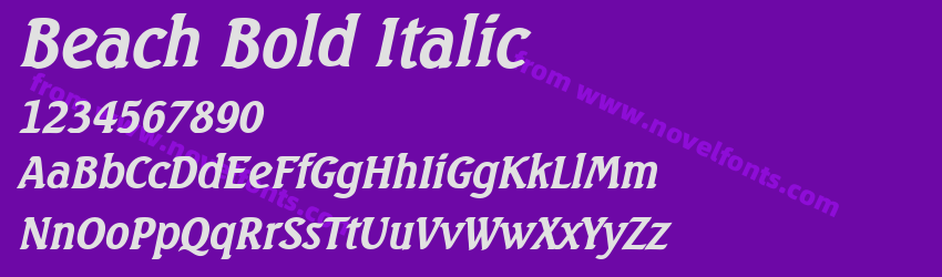 Beach Bold ItalicPreview