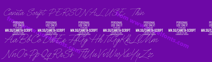 Caneta Script PERSONAL USE ThinPreview