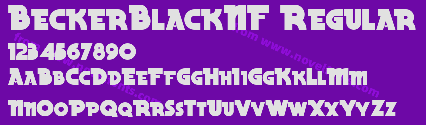 BeckerBlackNF RegularPreview