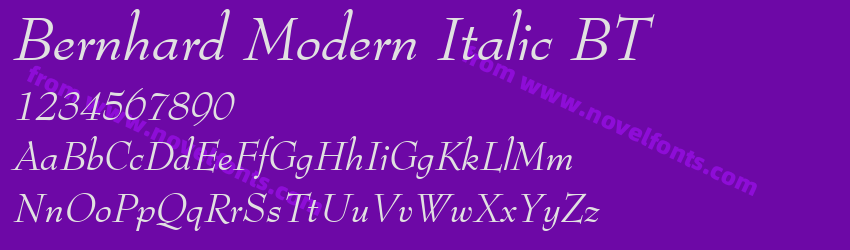 Bernhard Modern Italic BTPreview