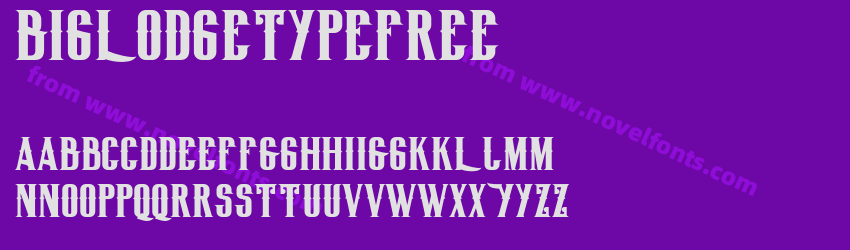 BigLodgeTypeFreePreview