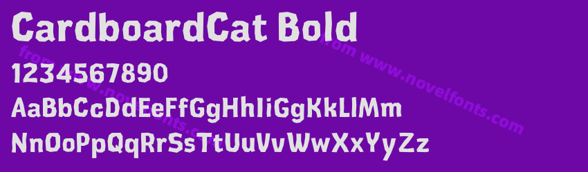 CardboardCat BoldPreview