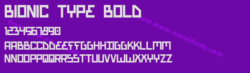 Bionic Type BoldPreview