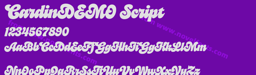CardinDEMO ScriptPreview