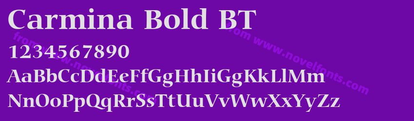 Carmina Bold BTPreview