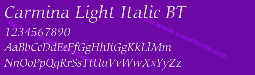 Carmina Light Italic BTPreview