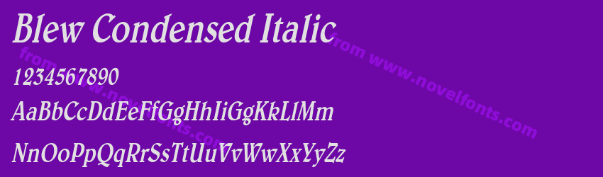 Blew Condensed ItalicPreview