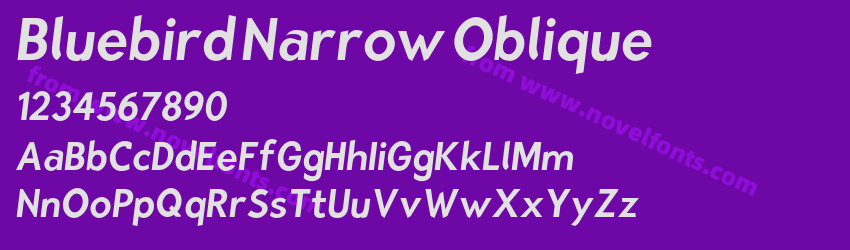 Bluebird Narrow ObliquePreview