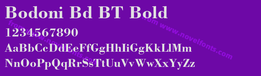 Bodoni Bd BT BoldPreview