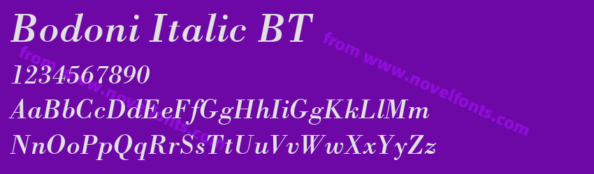 Bodoni Italic BTPreview