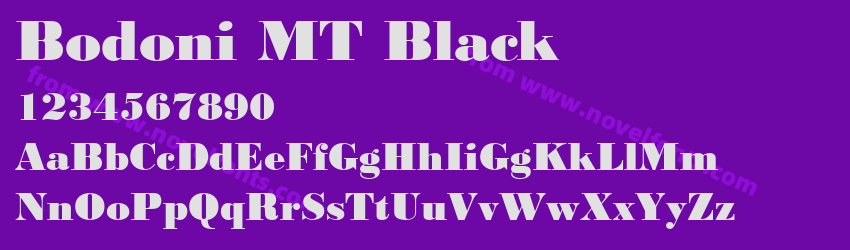 Bodoni MT BlackPreview