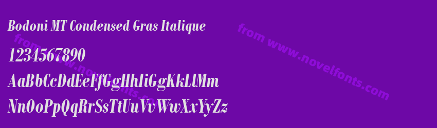 Bodoni MT Condensed Gras ItaliquePreview