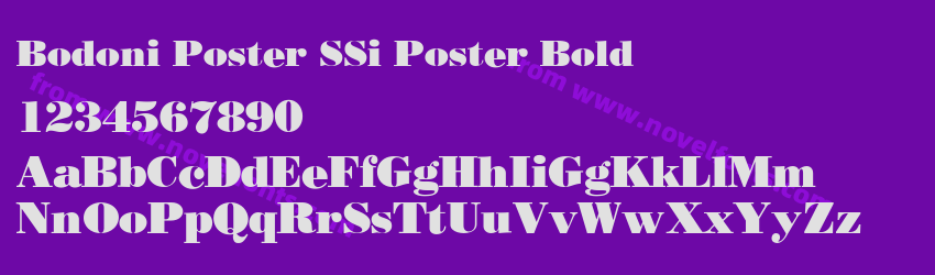 Bodoni Poster SSi Poster BoldPreview