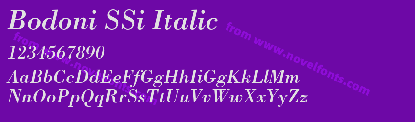 Bodoni SSi ItalicPreview