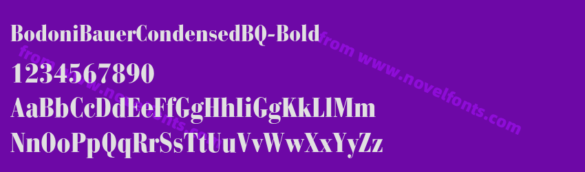 BodoniBauerCondensedBQ-BoldPreview