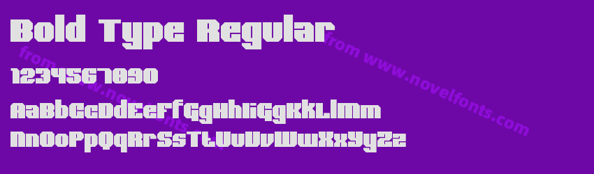 Bold Type RegularPreview