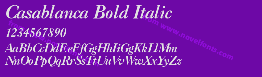 Casablanca Bold ItalicPreview