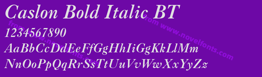 Caslon Bold Italic BTPreview