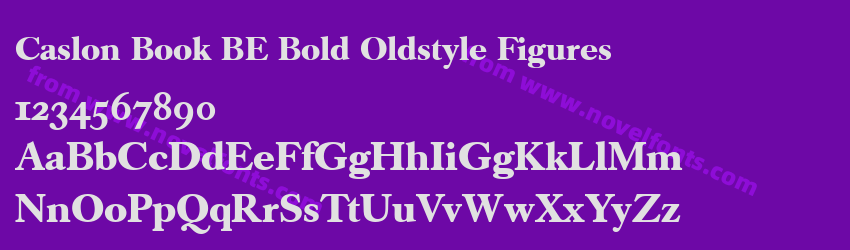 Caslon Book BE Bold Oldstyle FiguresPreview