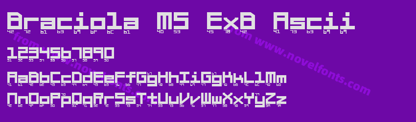 Braciola MS ExB AsciiPreview