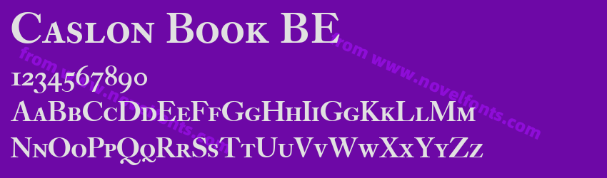 Caslon Book BEPreview