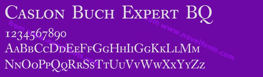 Caslon Buch Expert BQPreview